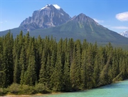 Canada is a North American country consisting of ten provinces and three territories