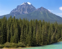 Canada is a North American country consisting of ten provinces and three territories