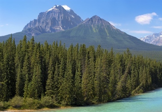 Canada is a North American country consisting of ten provinces and three territories