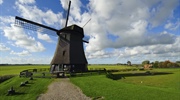 The Netherlands is a constituent country of the Kingdom of...