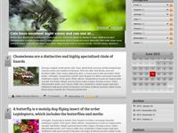 Blog display - BlogTwo light skin and template