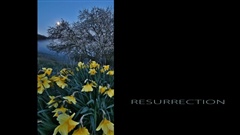 Easter-Night---Resurrection