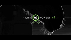 LIKE-♥-HORSES--4