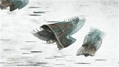 Sparrows