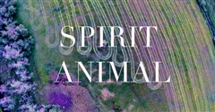 SPIRIT-ANIMAL